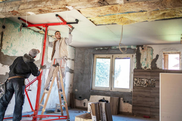Best Eco-Friendly Insulation in Johnstown, CO